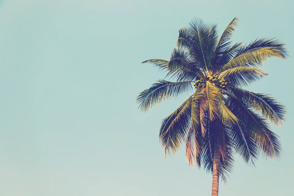 Palm Springs travel inspiration
